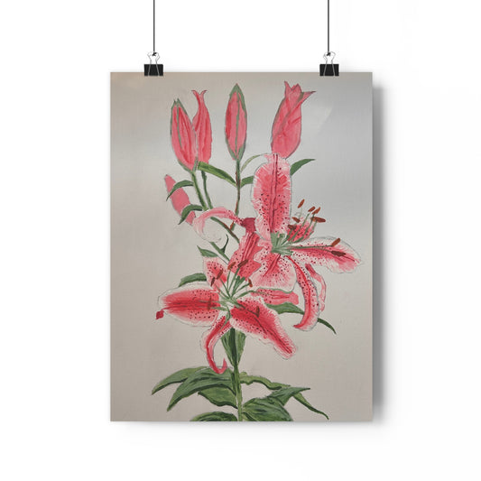 Pink Hibiscus