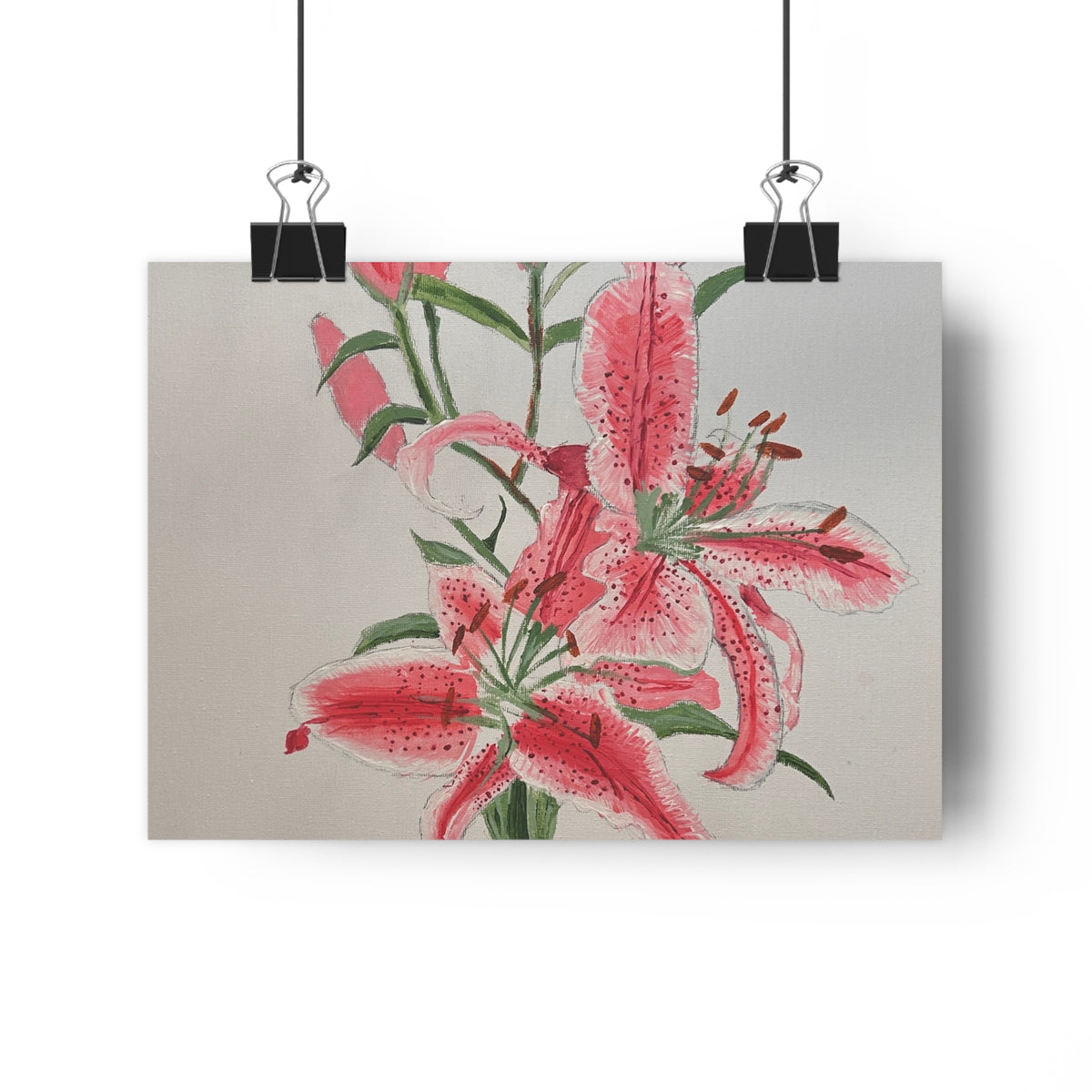 Pink Hibiscus