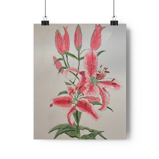 Pink Hibiscus