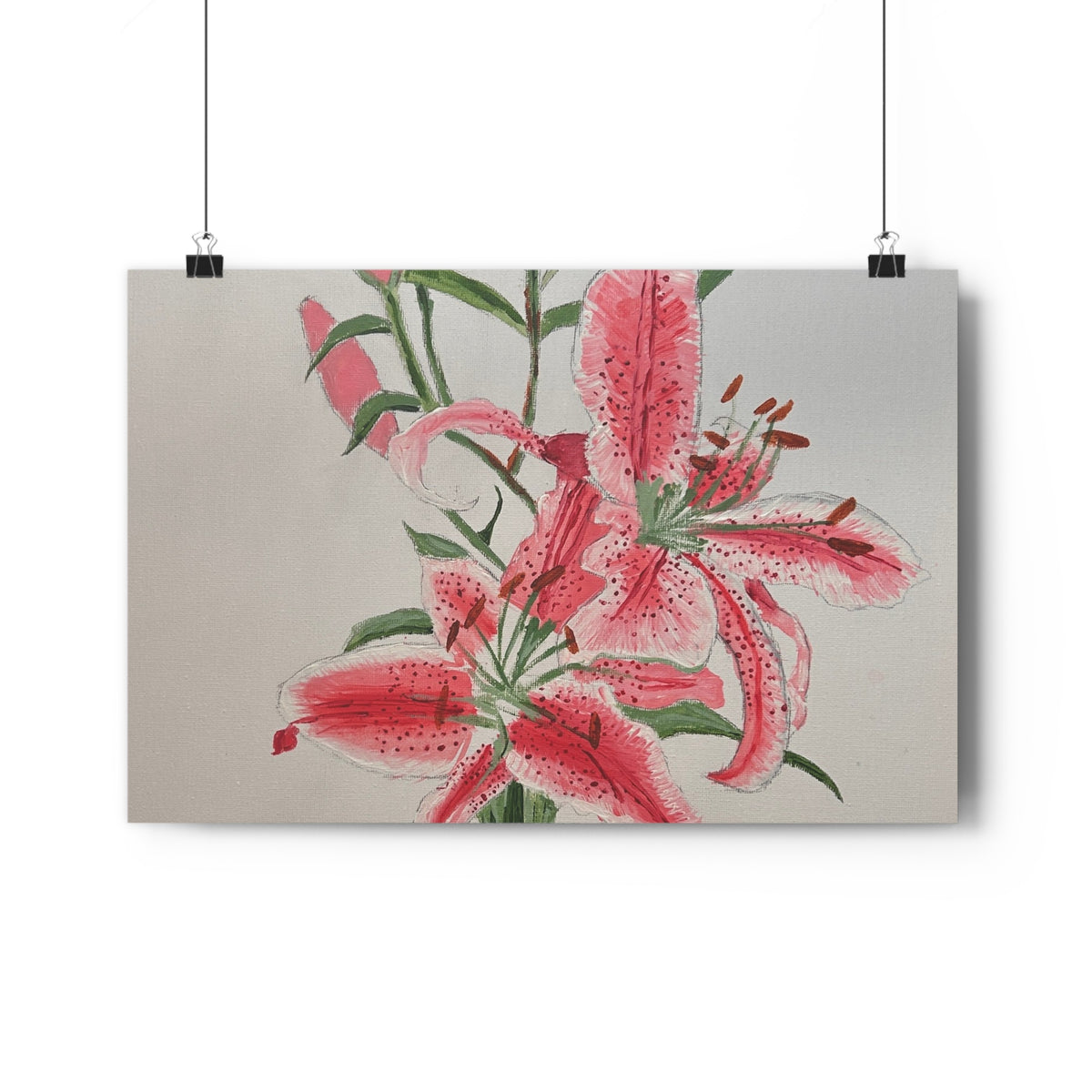 Pink Hibiscus