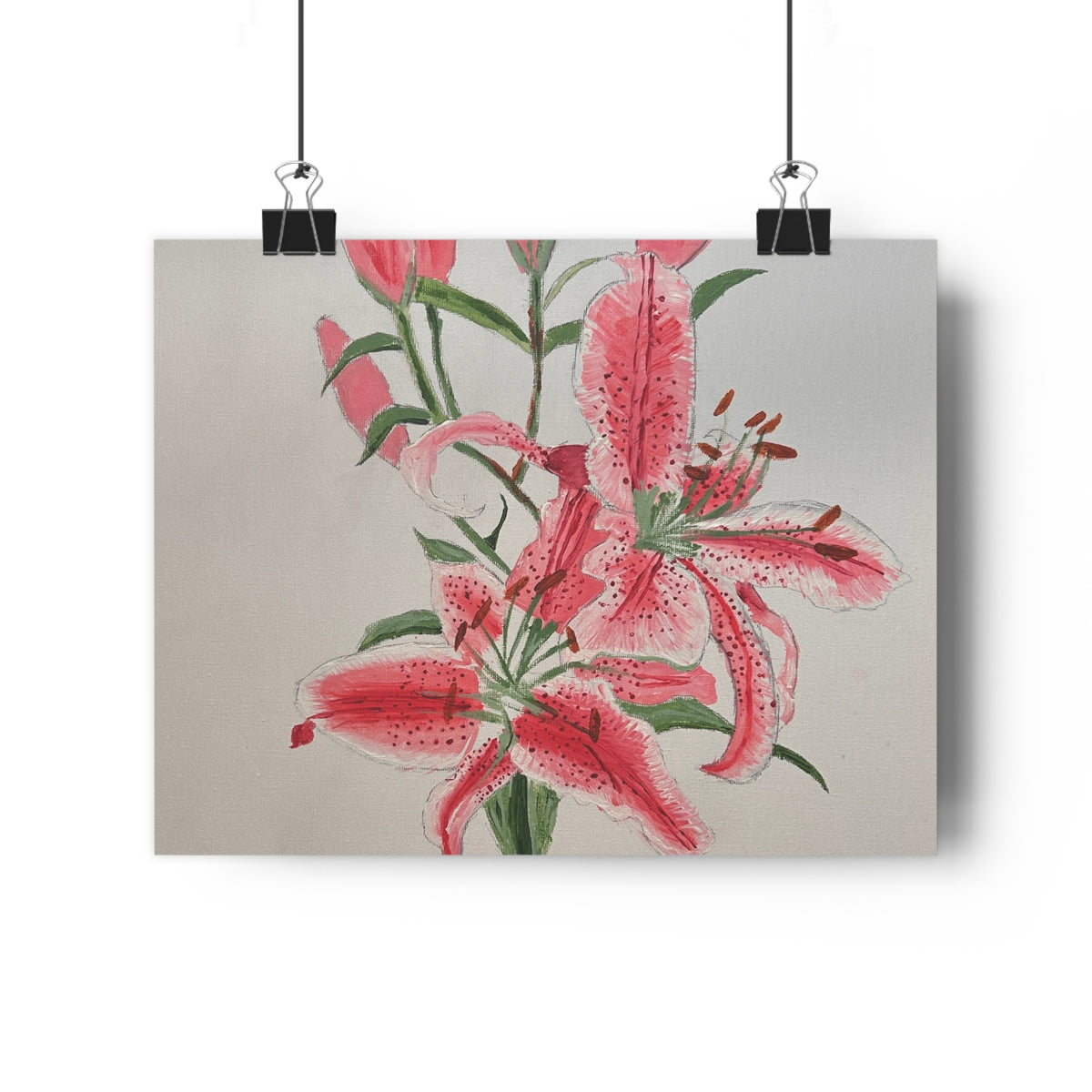 Pink Hibiscus