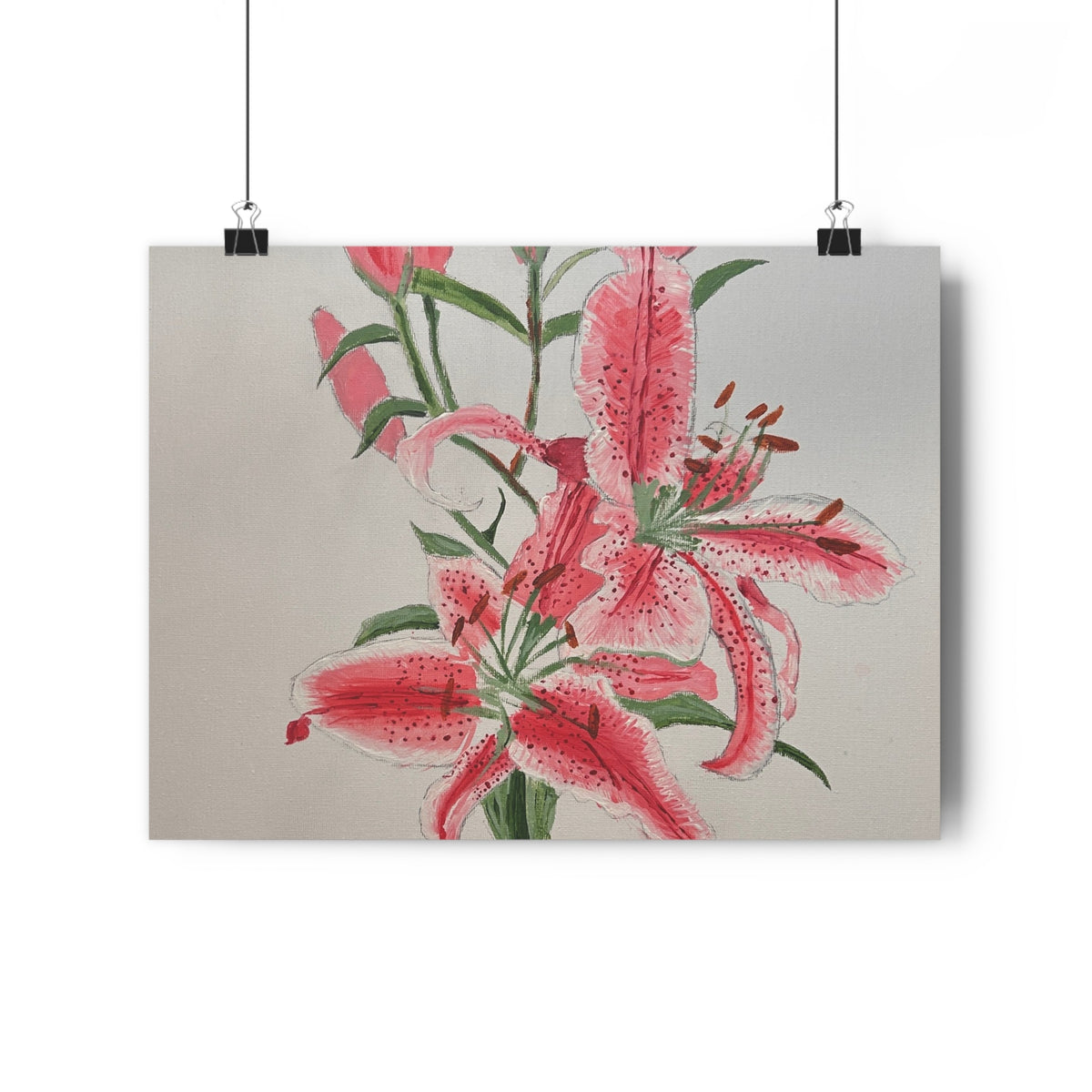 Pink Hibiscus