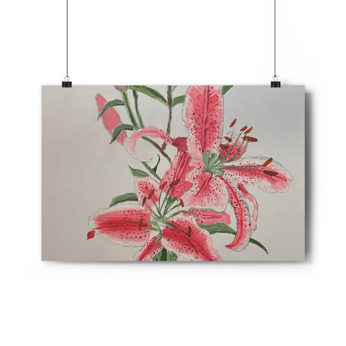 Pink Hibiscus