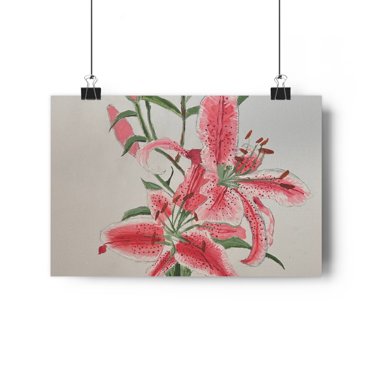 Pink Hibiscus