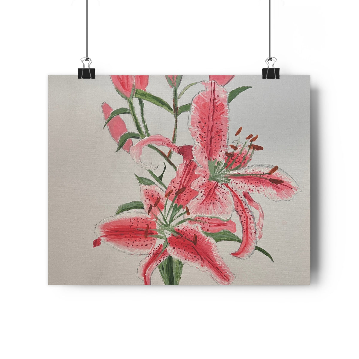 Pink Hibiscus