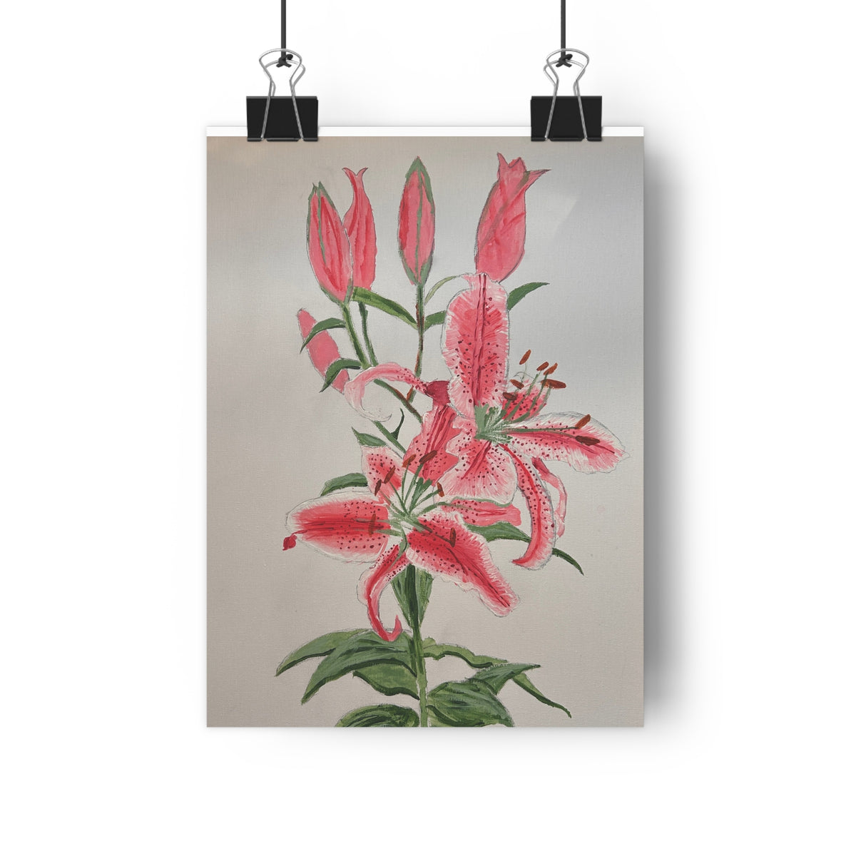Pink Hibiscus