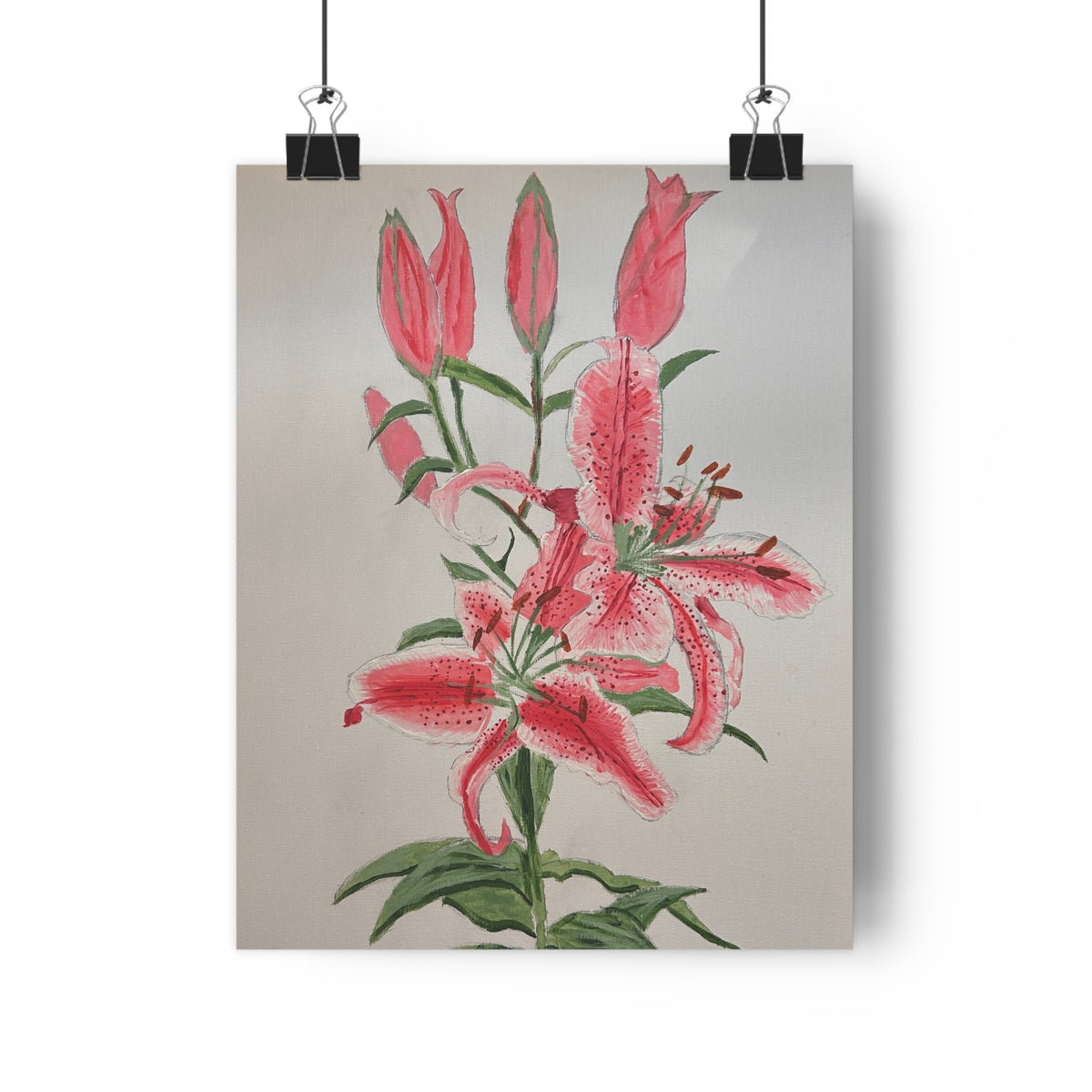 Pink Hibiscus